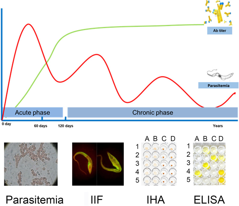 Laboratory diagnosis of <i>Trypanosoma cruzi</i> infection: a narrative review.