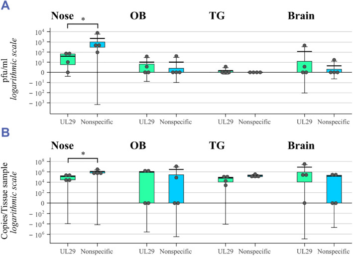 Single therapeutic dose of an antiviral UL29 siRNA swarm diminishes symptoms and viral load of mice infected intranasally with HSV-1.