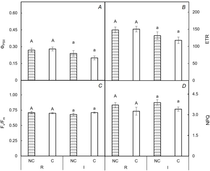 The basalt dust deposition on leaves does not influence the measurement of ecophysiological traits in grapevine.