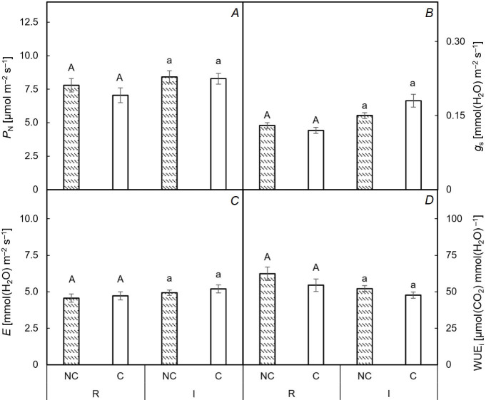 The basalt dust deposition on leaves does not influence the measurement of ecophysiological traits in grapevine.
