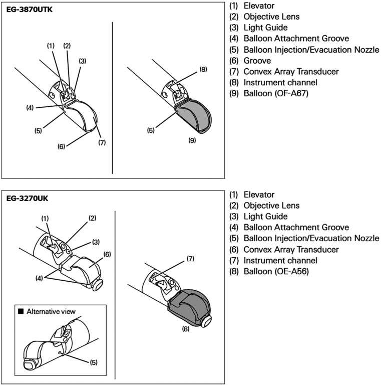 The role of endosonography in cardiology: case series and literature review.