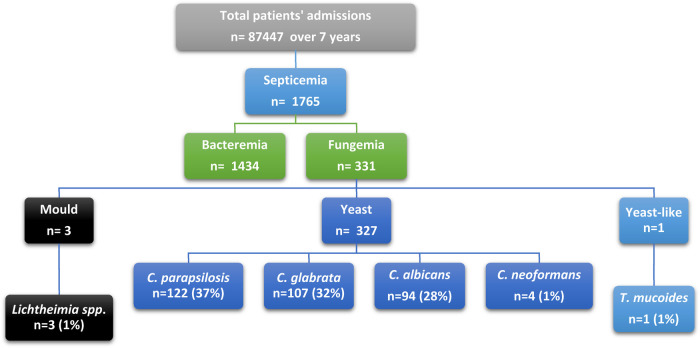 Increased prevalence of fungemia in Medina, Saudi Arabia.