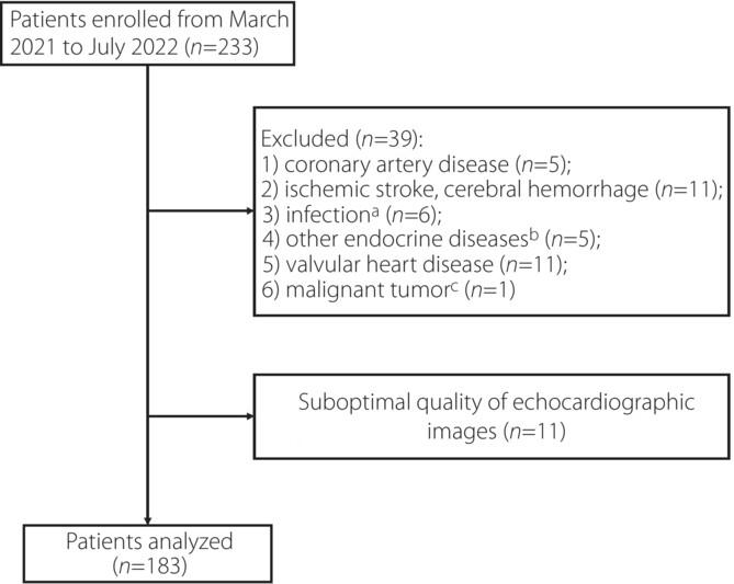 Association of the triglyceride-glucose index with subclinical left ventricular dysfunction in type 2 diabetes mellitus patients: A retrospective cross-sectional study