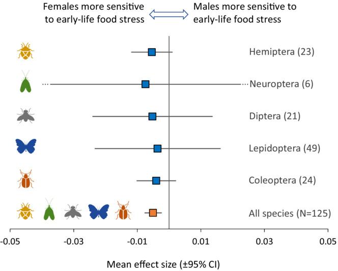 Early-life food stress hits females harder than males in insects: A meta-analysis of sex differences in environmental sensitivity