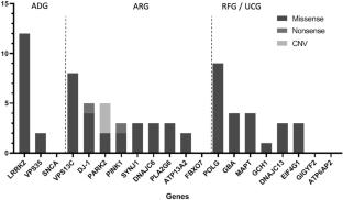 Gene Panel Sequencing Analysis Revealed a Strong Contribution of Rare Coding Variants to the Risk of Parkinson’s Disease in Sporadic Moroccan Patients