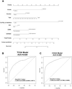 The Oncogenic Role of Cyclin-Dependent Kinase Inhibitor 2C in Lower-Grade Glioma