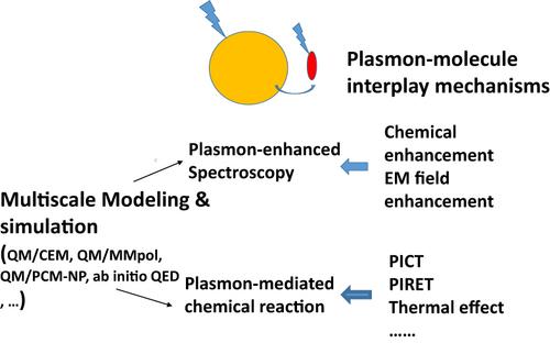 Multiscale modeling and simulation of surface-enhanced spectroscopy and plasmonic photocatalysis