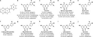 Flavonoids in major cereal grasses: distribution, functions, biosynthesis, and applications