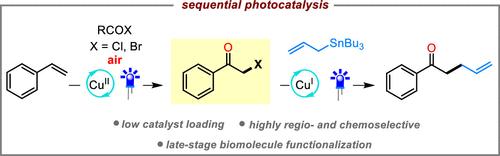 Merging Cu(I) and Cu(II) Photocatalysis: Development of a Versatile Oxohalogenation Protocol for the Sequential Cu(II)/Cu(I)-Catalyzed Oxoallylation of Vinylarenes