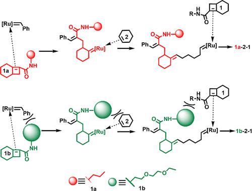 Long-Range Kinetic Effects on the Alternating Ring Opening Metathesis of Bicyclo[4.2.0]oct-6-ene-7-carboxamides and Cyclohexene