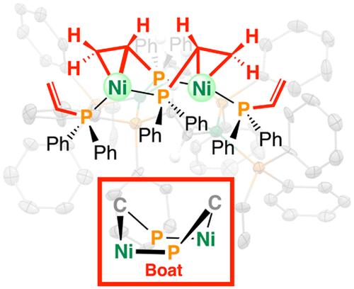 Nickel Complexes of Allyl and Vinyldiphenylphosphine