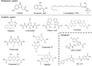 Recent advances in GPR35 pharmacology; 5-HIAA serotonin metabolite becomes a ligand