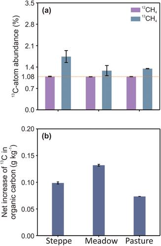 Elevated and atmospheric-level methane consumption by soil methanotrophs of three grasslands in China