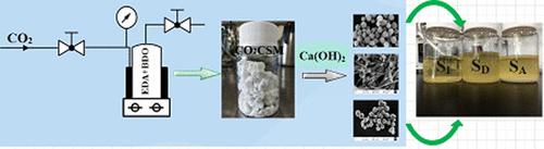 Strategic CO2 Storage Material toward a Selective Control of Calcium Carbonate Polymorphs as Additives in Ester Oil Reinforcement