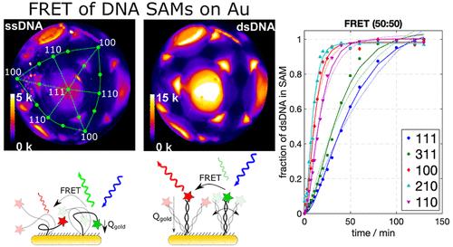 FRET Imaging of Nonuniformly Distributed DNA SAMs on Gold Reveals the Role Played by the Donor/Acceptor Ratio and the Local Environment in Measuring the Rate of Hybridization