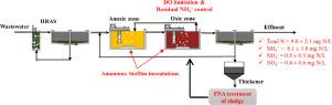 One-year stable pilot-scale operation demonstrates high flexibility of mainstream anammox application