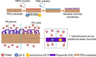 Mechanistic insights into the role of nanoparticles towards the enhanced performance of thin-film nanocomposite membranes