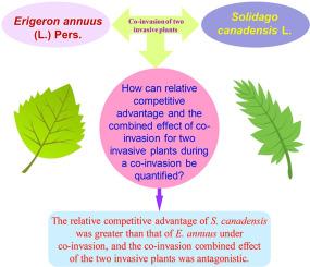 A method for quantifying relative competitive advantage and the combined effect of co-invasion for two invasive plants