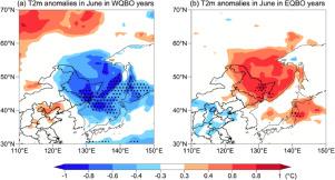 Impacts of the stratospheric quasi-biennial oscillation on the tropospheric circulation and climate in the Northeast Asia–North Pacific region in early summer