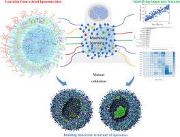 Predicting liposome formulations by the integrated machine learning and molecular modeling approaches