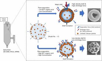 Corrugated surface microparticles with chitosan and levofloxacin for improved aerodynamic performance