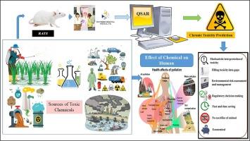 QSAR modeling of chronic rat toxicity of diverse organic chemicals