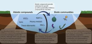 Abiotic and biotic constituents of oil sands process-affected waters