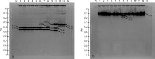 Characterization of the atypical Meloidogyne arenaria (Tylenchina: Meloidogynidae) in Japan