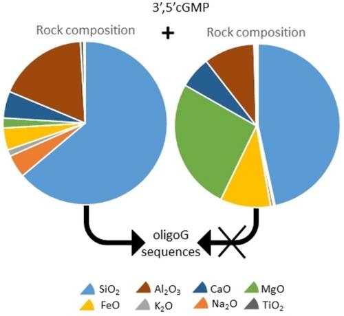 Influence of Silicate Rock Glass Compositions on the Efficacy of Prebiotic RNA Polymerization Reactions: The Case of 3’,5’ Cyclic Guanosine Monophosphate