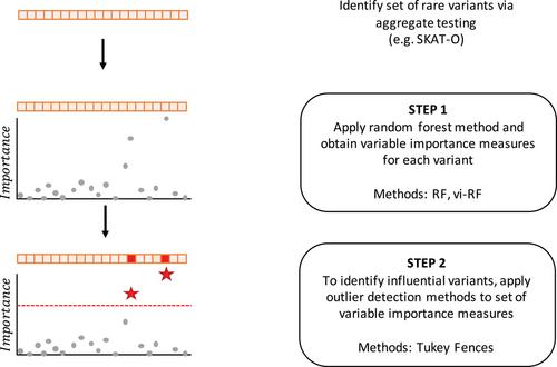 Identification of influential rare variants in aggregate testing using random forest importance measures