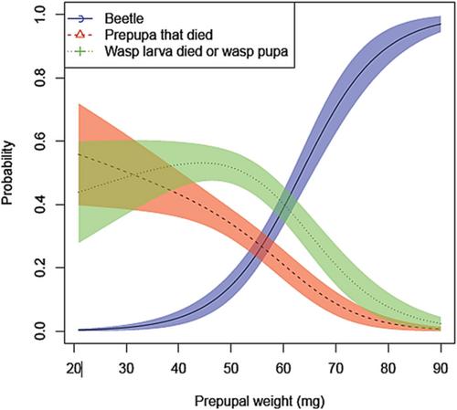 Circadian and seasonal flight activity differences between the sexes of the biocontrol agent Eadya daenerys (Hymenoptera: Braconidae) and the impact of host size on adult emergence