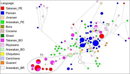 Genetic portrait of the Amazonian communities of Peru and Bolivia: The legacy of the Takanan-speaking people