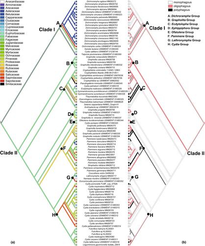 Molecular phylogeny, divergence time, biogeography and trends in host plant usage in the agriculturally important tortricid tribe Grapholitini (Lepidoptera: Tortricidae: Olethreutinae)