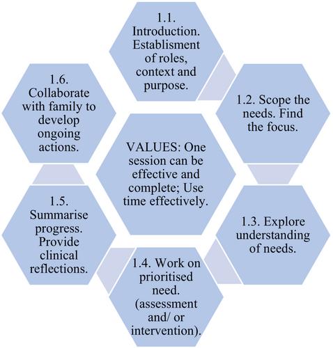 Families' experience of a single session therapy framework in advanced allied health practice for children with neurodevelopmental and behavioural disabilities: A thematic analysis of qualitative data