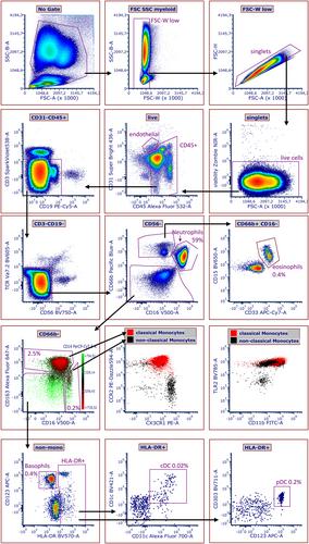 Resolving 31 colors on a standard 3-laser full spectrum flow cytometer for immune monitoring of human blood samples