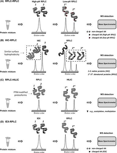 Multidimensional separations in top–down proteomics