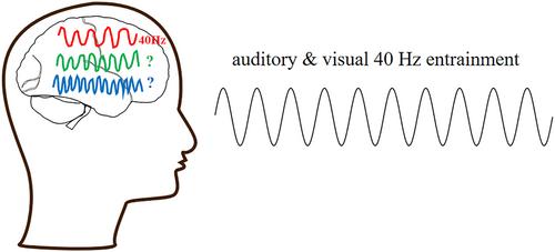 The oscillating mystery: The effects of forty-hertz entrainment in treating Alzheimer's disease