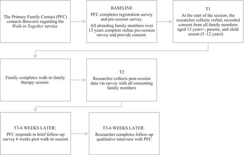 Walk-in Together: A pilot study of a walk-in online family therapy intervention