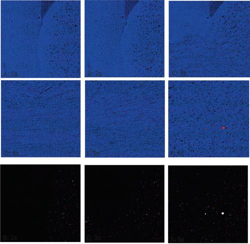 Capturing the onset of oral processing: Merging of a model food emulsion drop with saliva