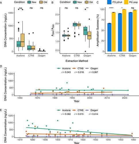 Optimizing efficient PCR-amplifiable DNA extraction from herbarium specimens