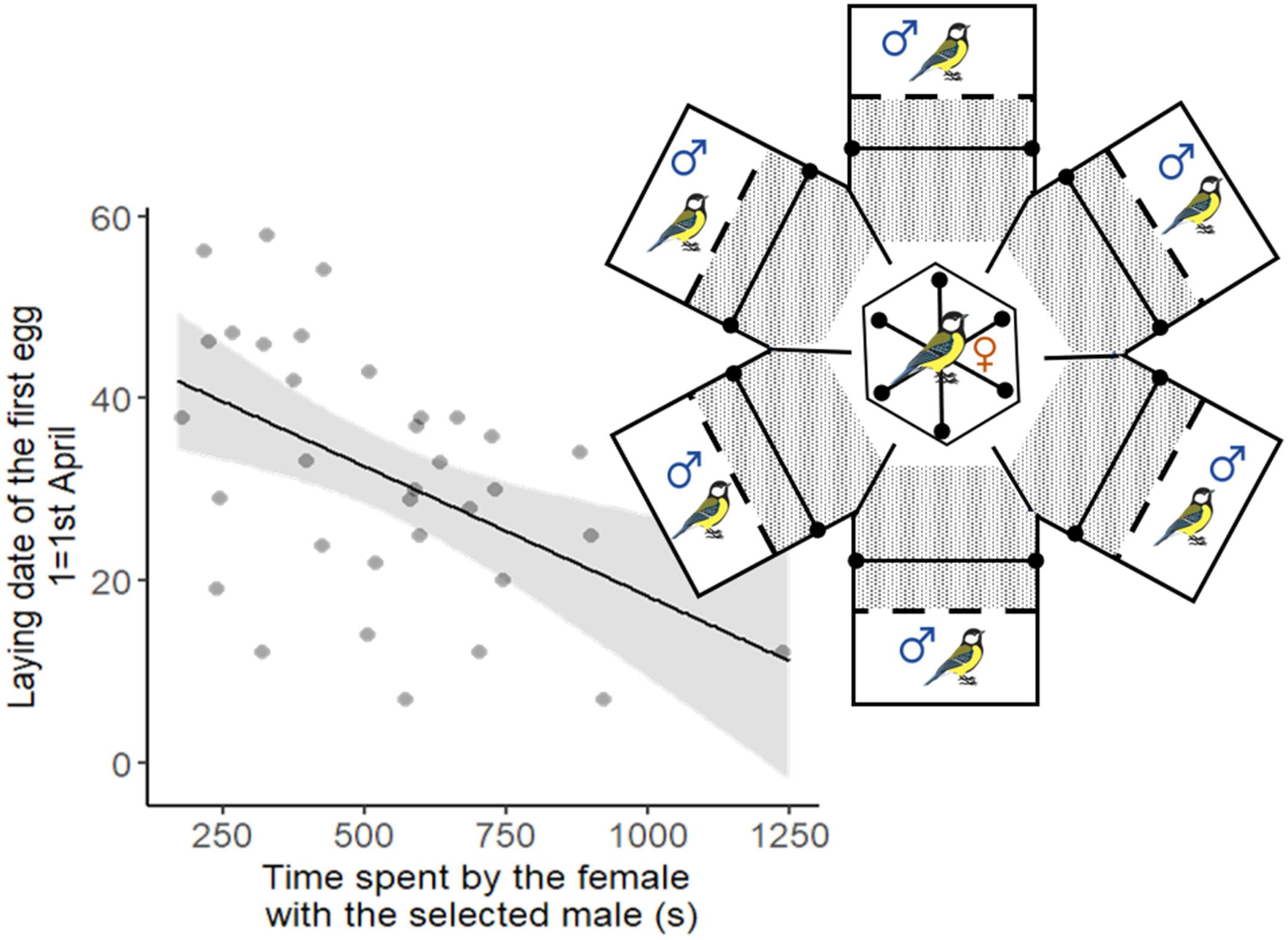 Female great tits (Parus major) reproduce earlier when paired with a male they prefer