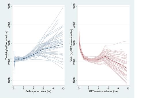 Beyond the “inverse relationship”: Area mismeasurement may affect actual productivity, not just how we understand it