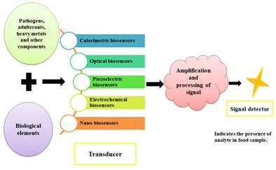 A systematic review on recent trends and perspectives of biosensors in food industries