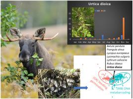 Is endozoochoric seed dispersal by large herbivores an evolutionary adaptation? Revisiting the Janzen's ‘Foliage is the fruit’ hypothesis