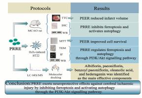 Paeoniae Radix Rubra extract attenuates cerebral ischemia injury by inhibiting ferroptosis and activating autophagy through the PI3K/Akt signalling pathway