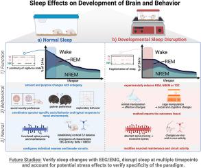 Loss of sleep when it is needed most – Consequences of persistent developmental sleep disruption: A scoping review of rodent models