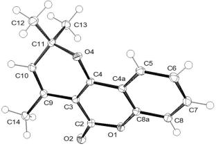 Dynamic Study of Cyclic-Open Tautomerism in a Warfarin Analog