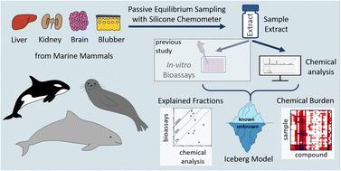 Characterizing the marine mammal exposome by iceberg modeling, linking chemical analysis and in vitro bioassays†