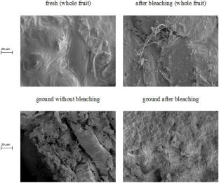 Characterization of Fresh and Dried Pink Pepper (Schinus terebinthifolius R.) by Cast-Tape Drying