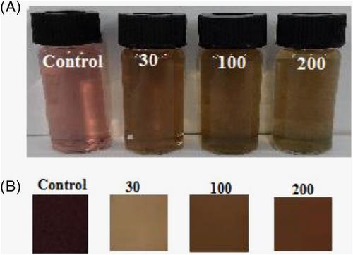 Anthocyanin-loaded bacterial cellulose nanofiber as a green sensor for monitoring the selective naked eye and visual detection of Al(III) Ions